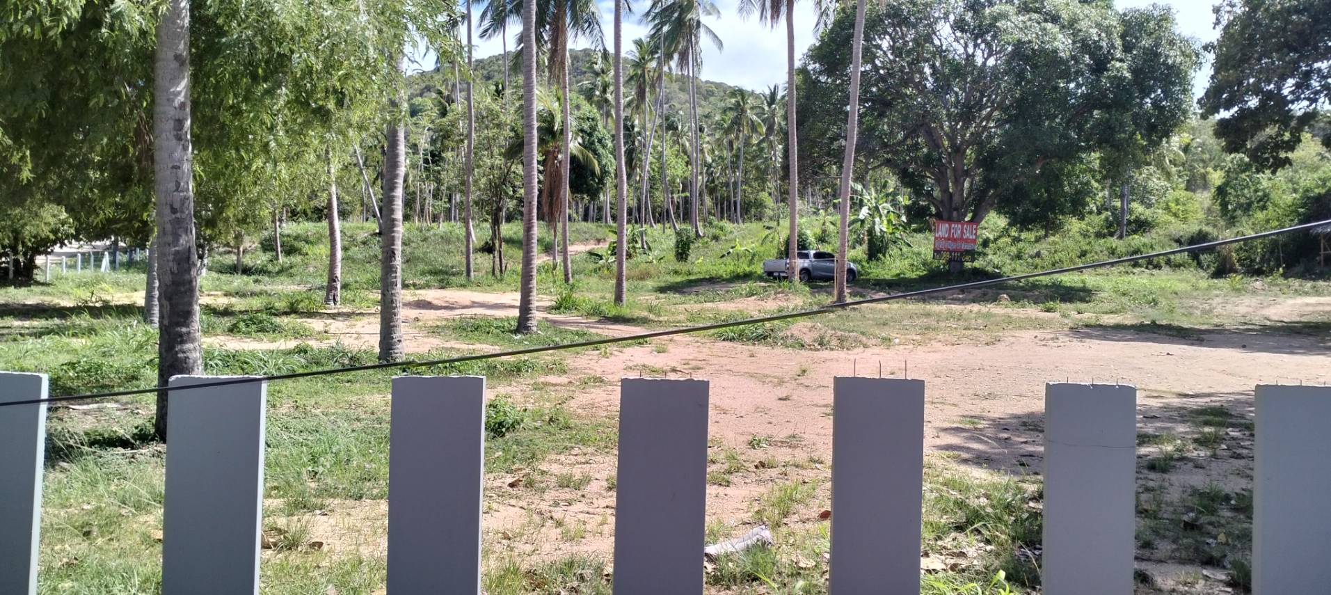 Land for sale in Samui