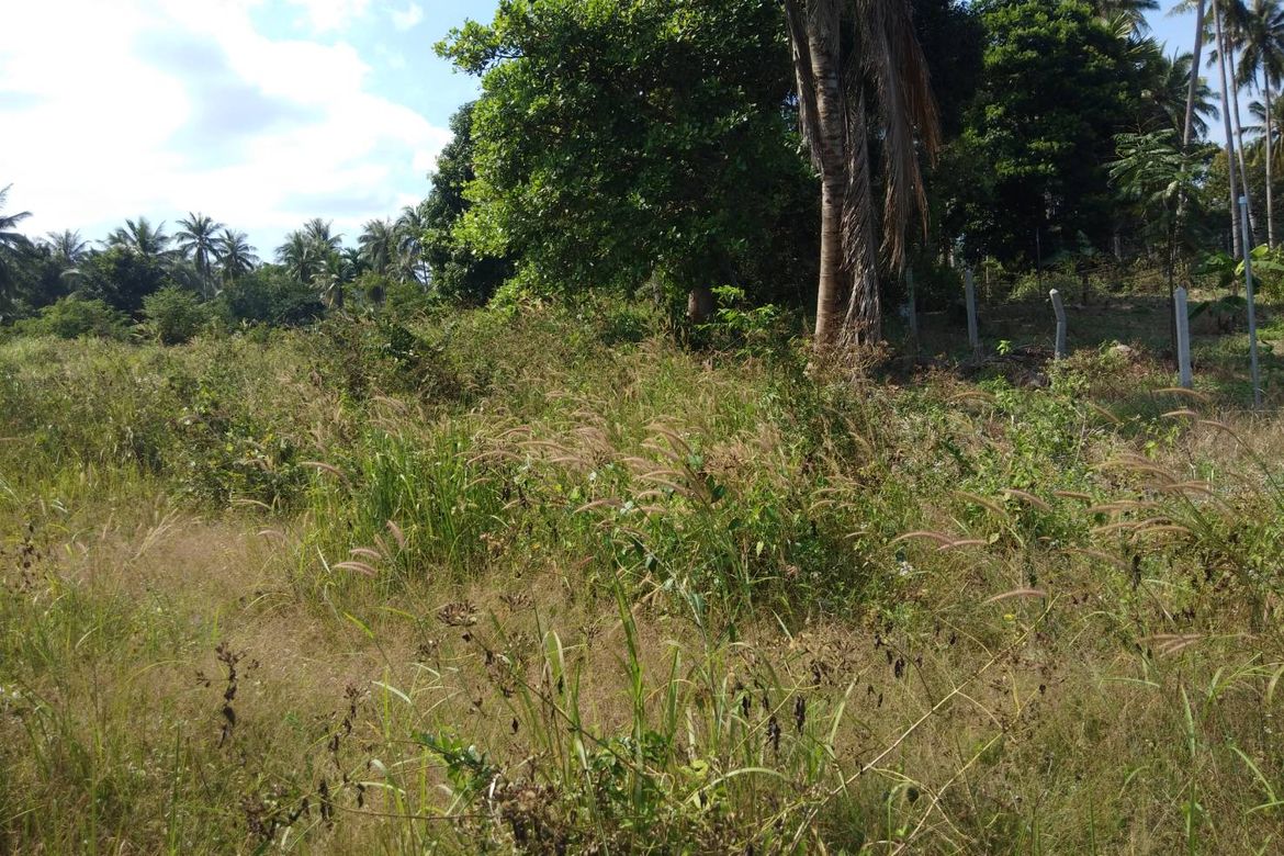 Land in meanam koh samui