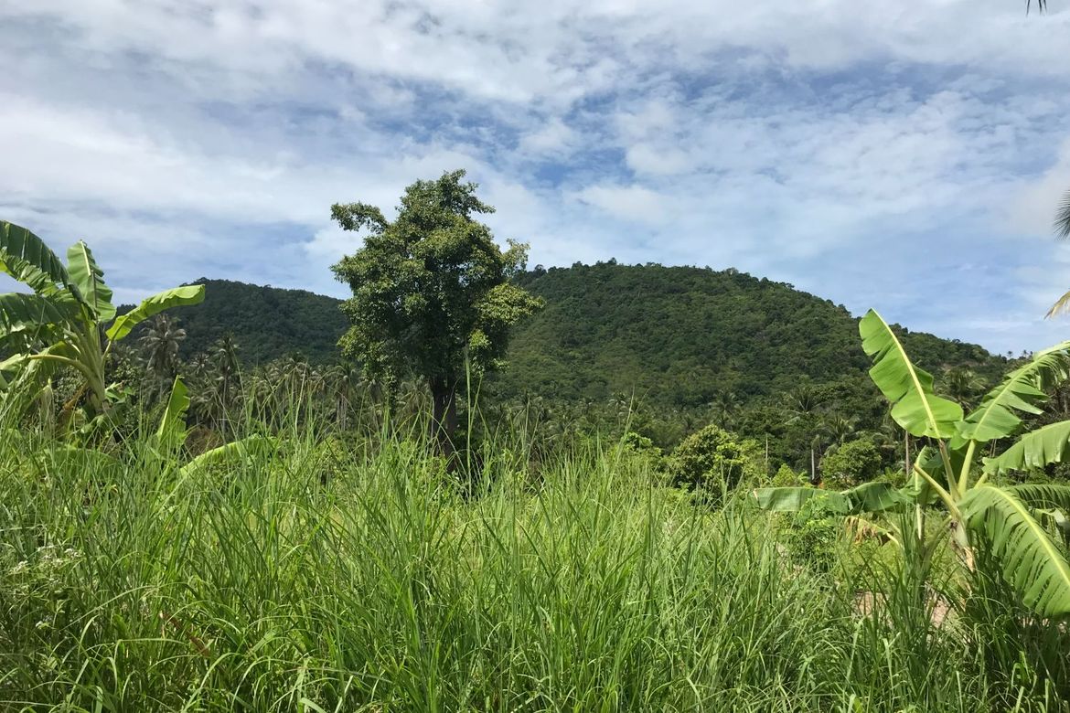 Land in Meanam Koh samui
