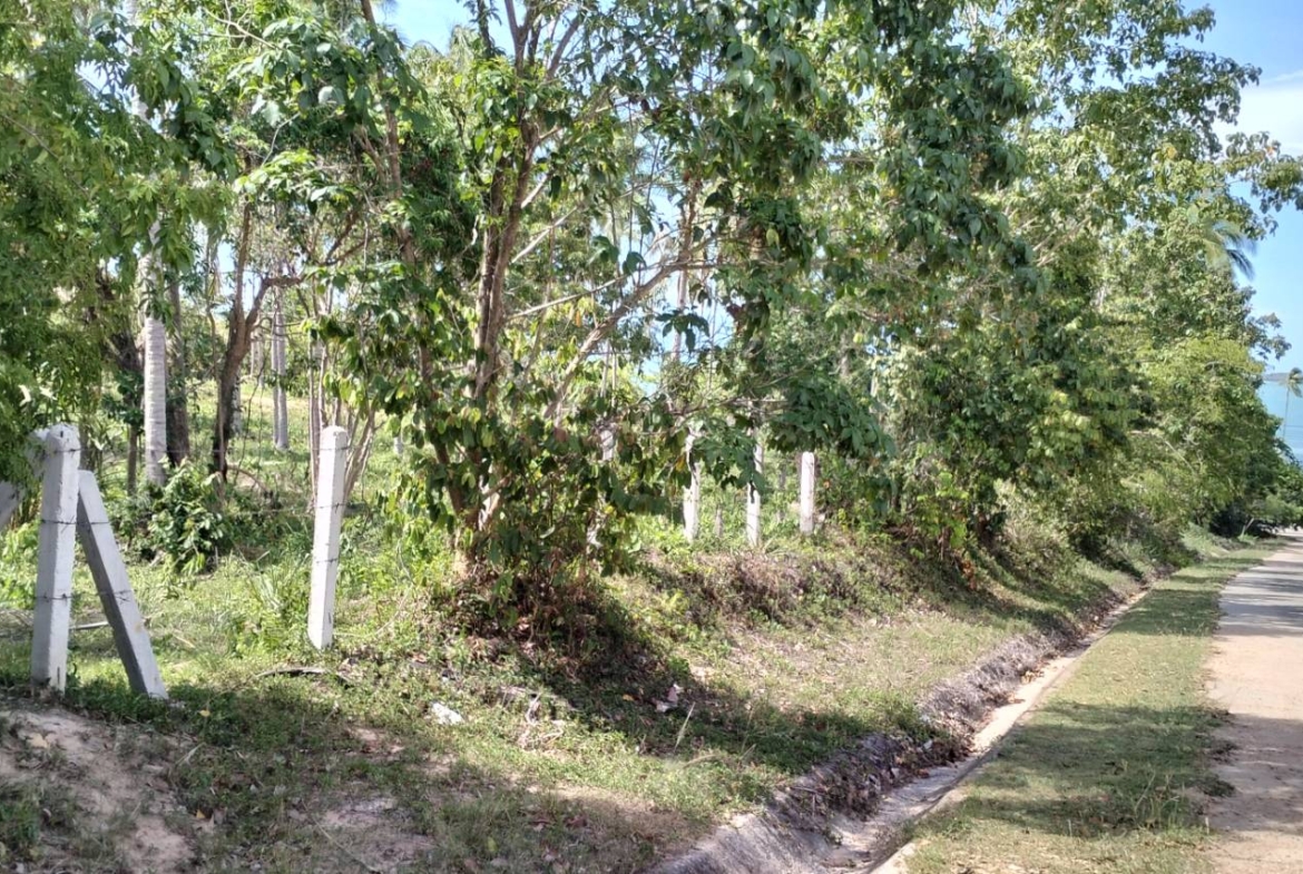 Land for Sale in Bophut Samui