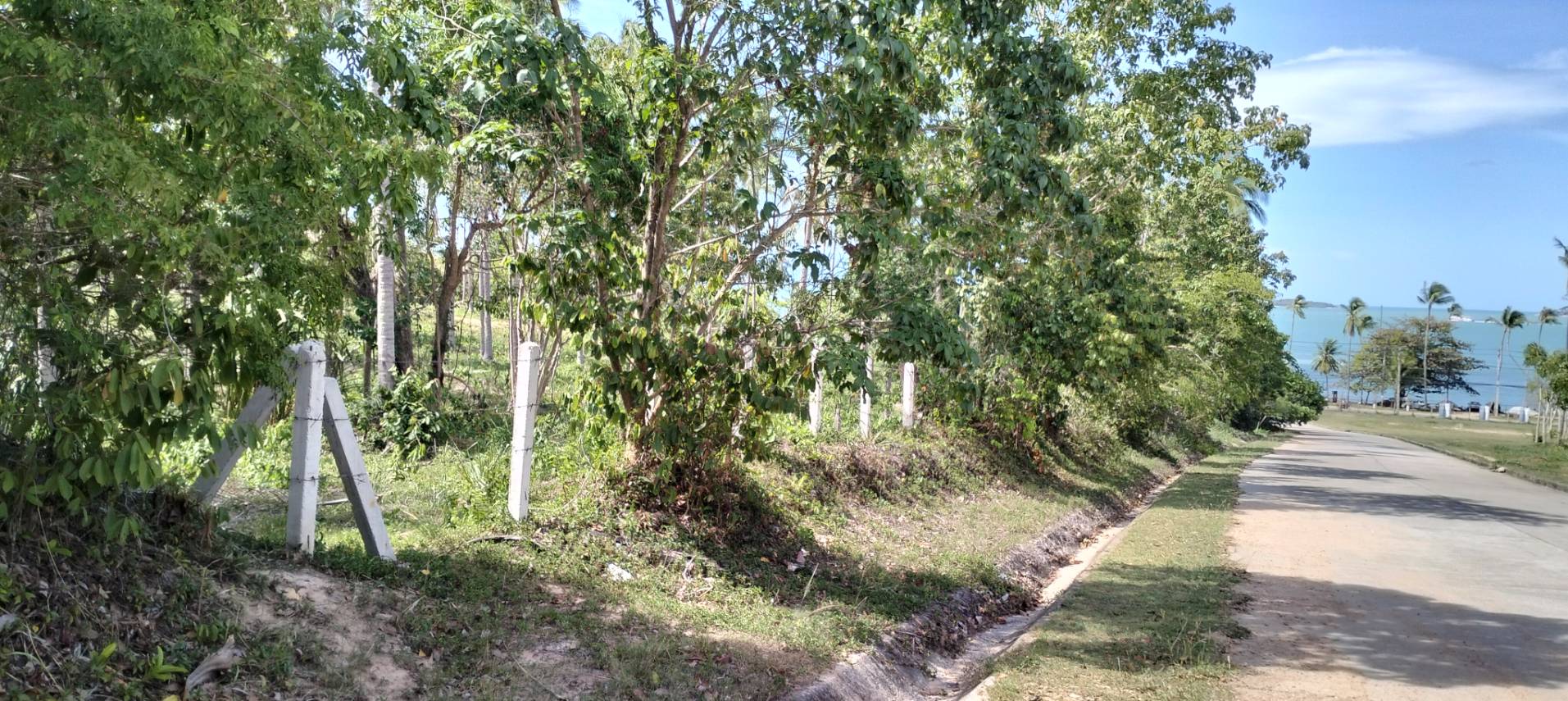 Land for Sale in Bophut Samui