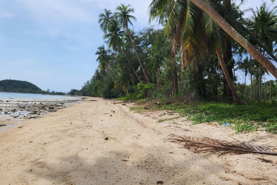 Beachfront Land For Sale Bang Por